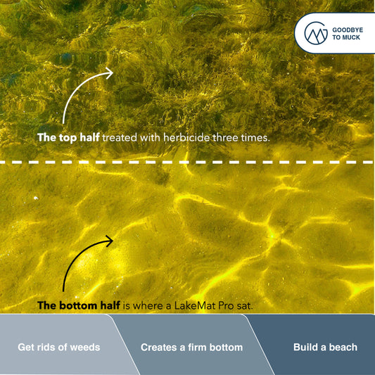 Want to buy some lake weed killer?