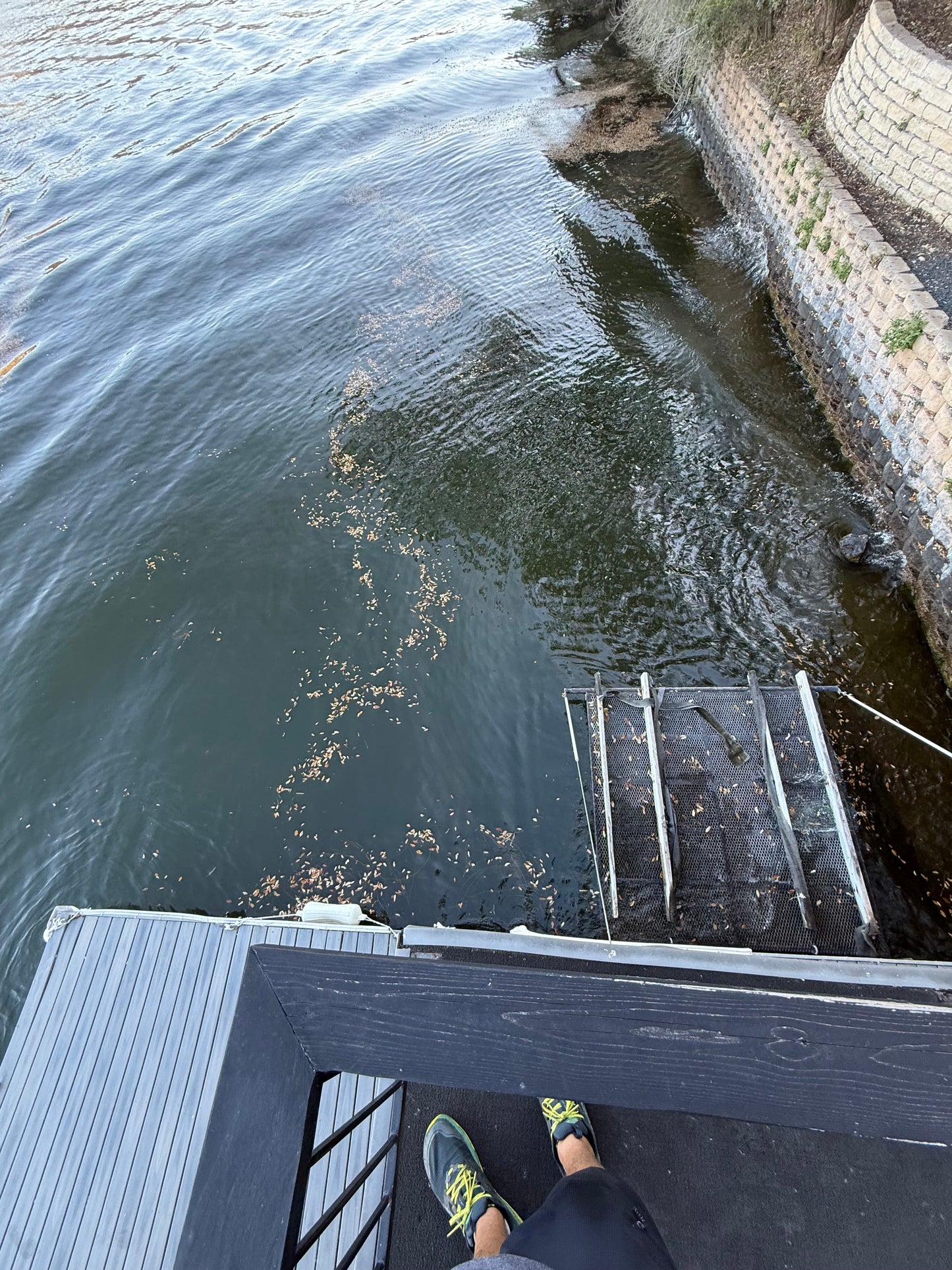 Hydrilla Killa - Create your own hydrilla-free zone