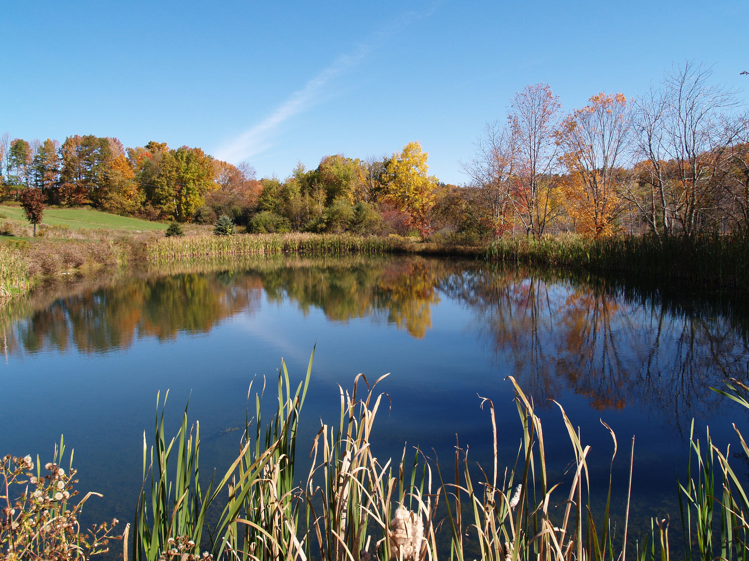 What’s the difference between a lake and a pond?
