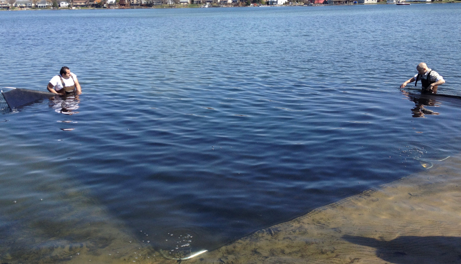 What size LakeMat Pro do you need?  When smaller is better.