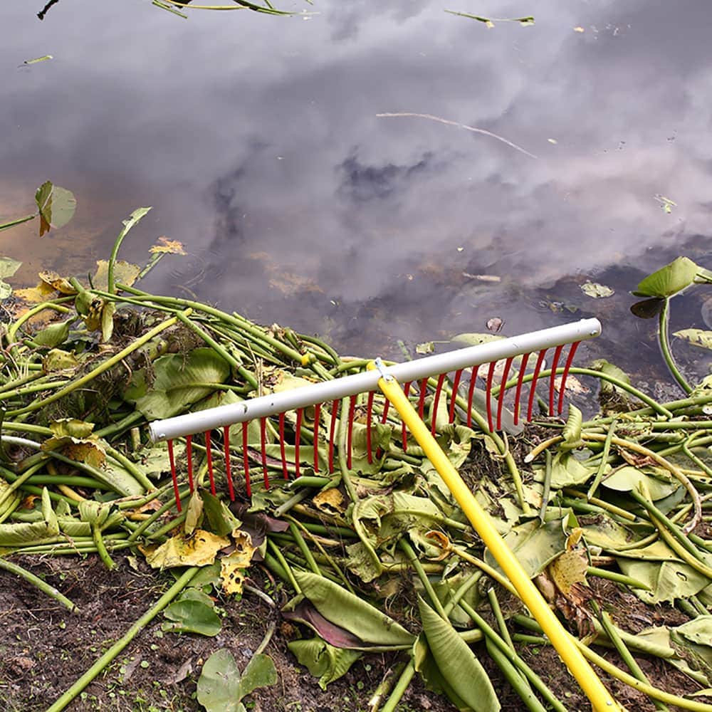 The Best Tool for Clearing Lake Weeds You Never Knew You Needed