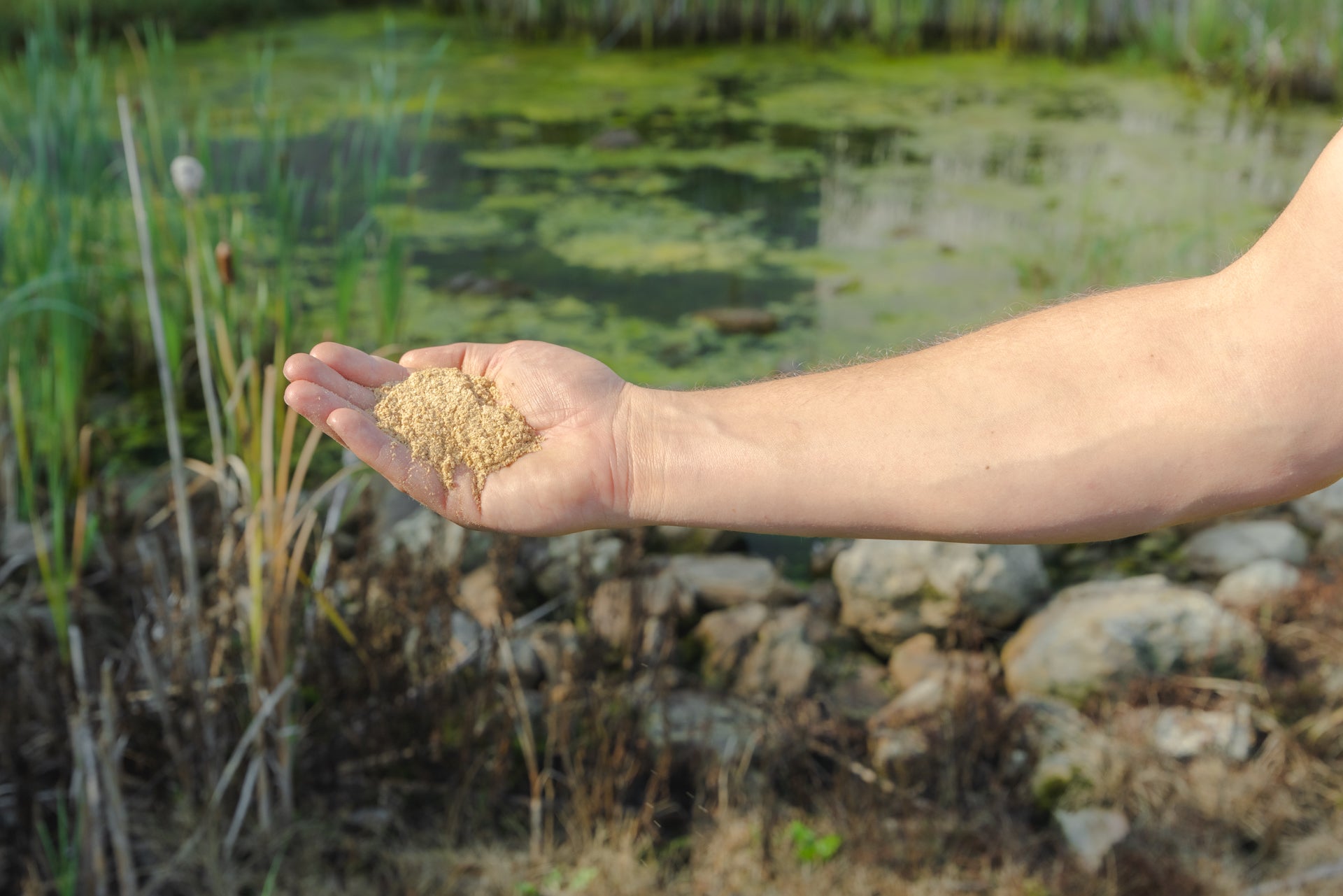 Pond Probiotics