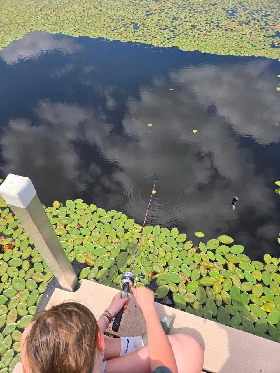 Hydrilla Killa - Create your own hydrilla-free zone