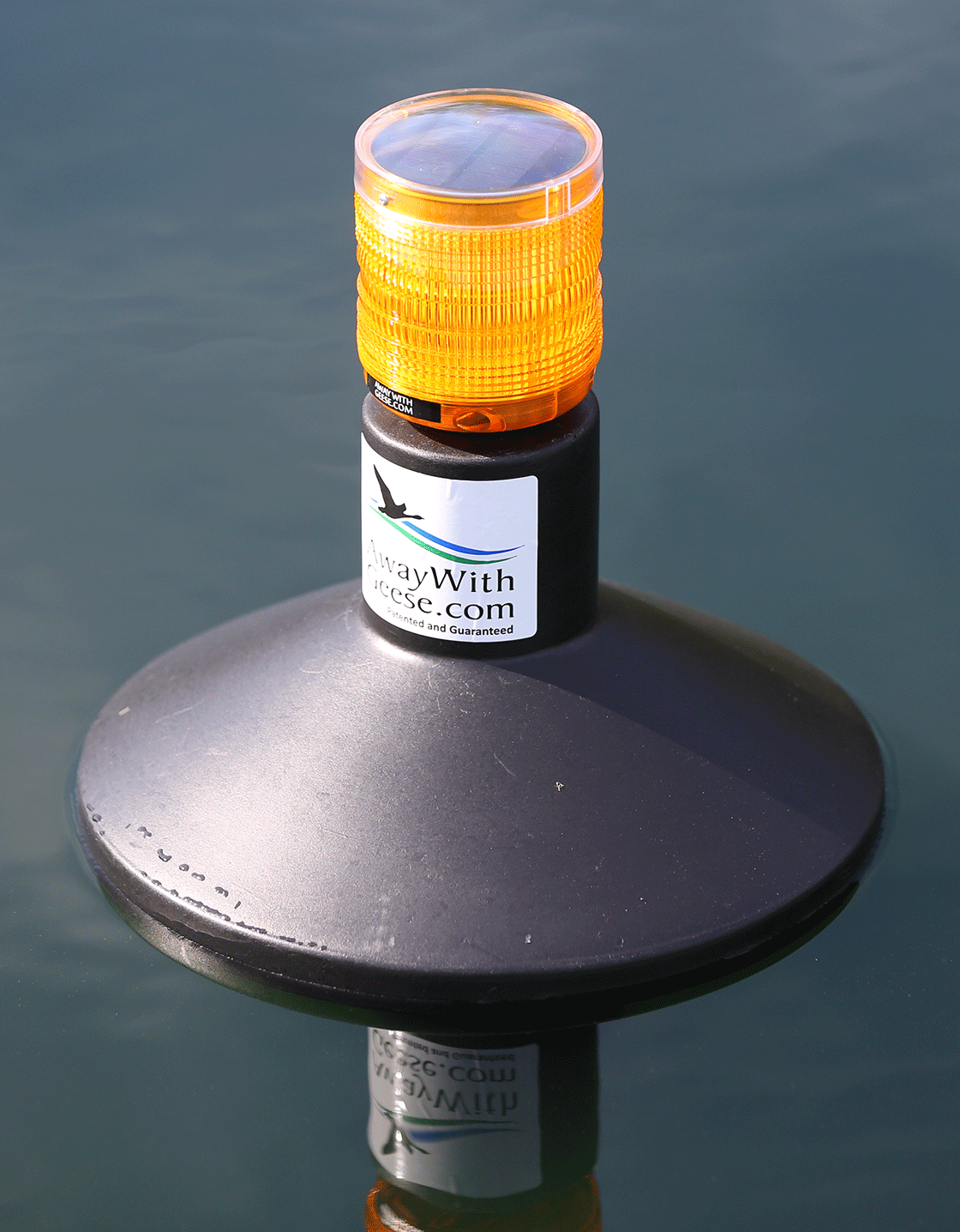 Away with Geese - Water Unit