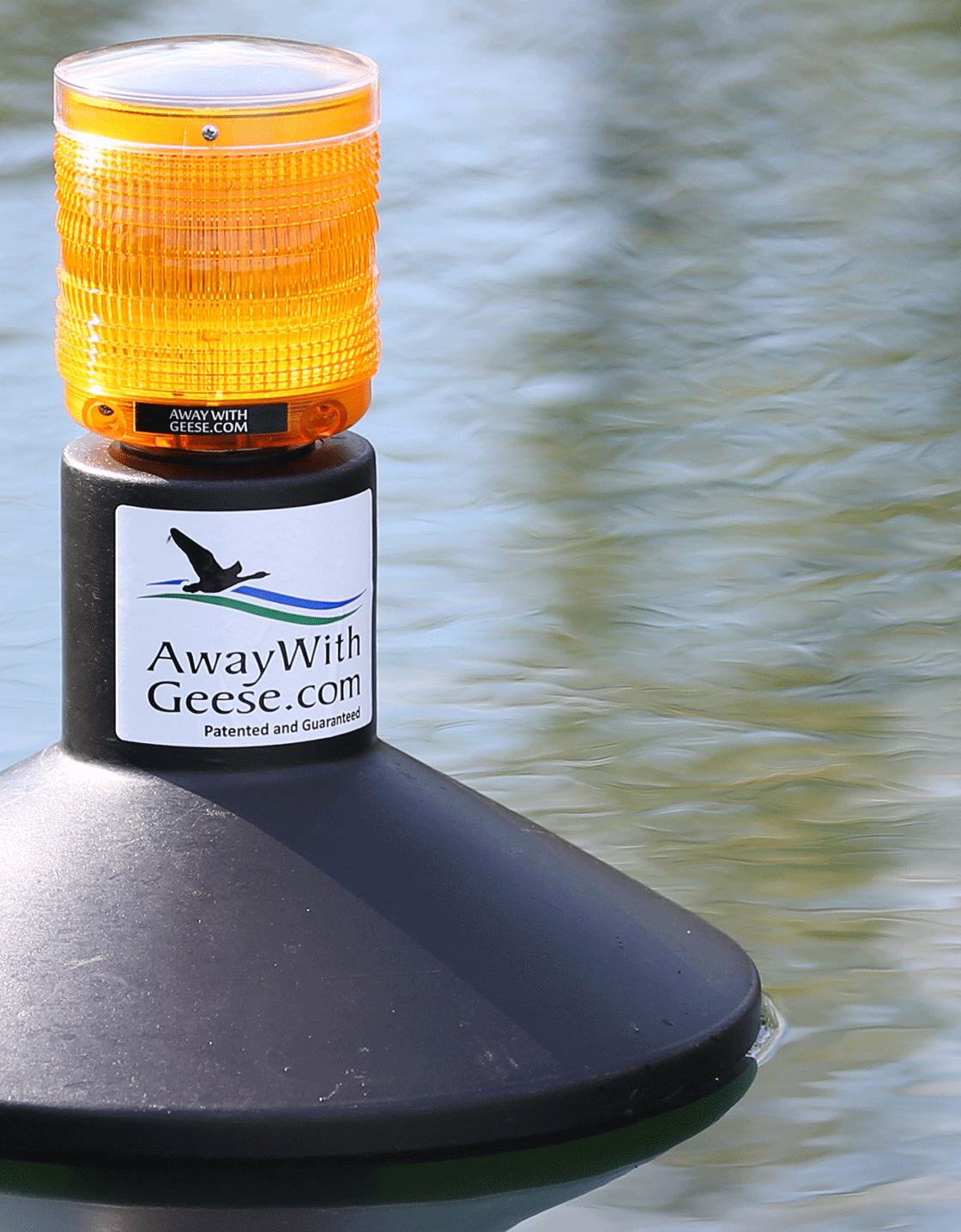 Away with Geese - Water Unit