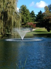 J Series Fountain, 3/4HP, 120V, 1PH, Float, C-25 Control Panel, 5 Nozzles, 50-100ft Power Cord