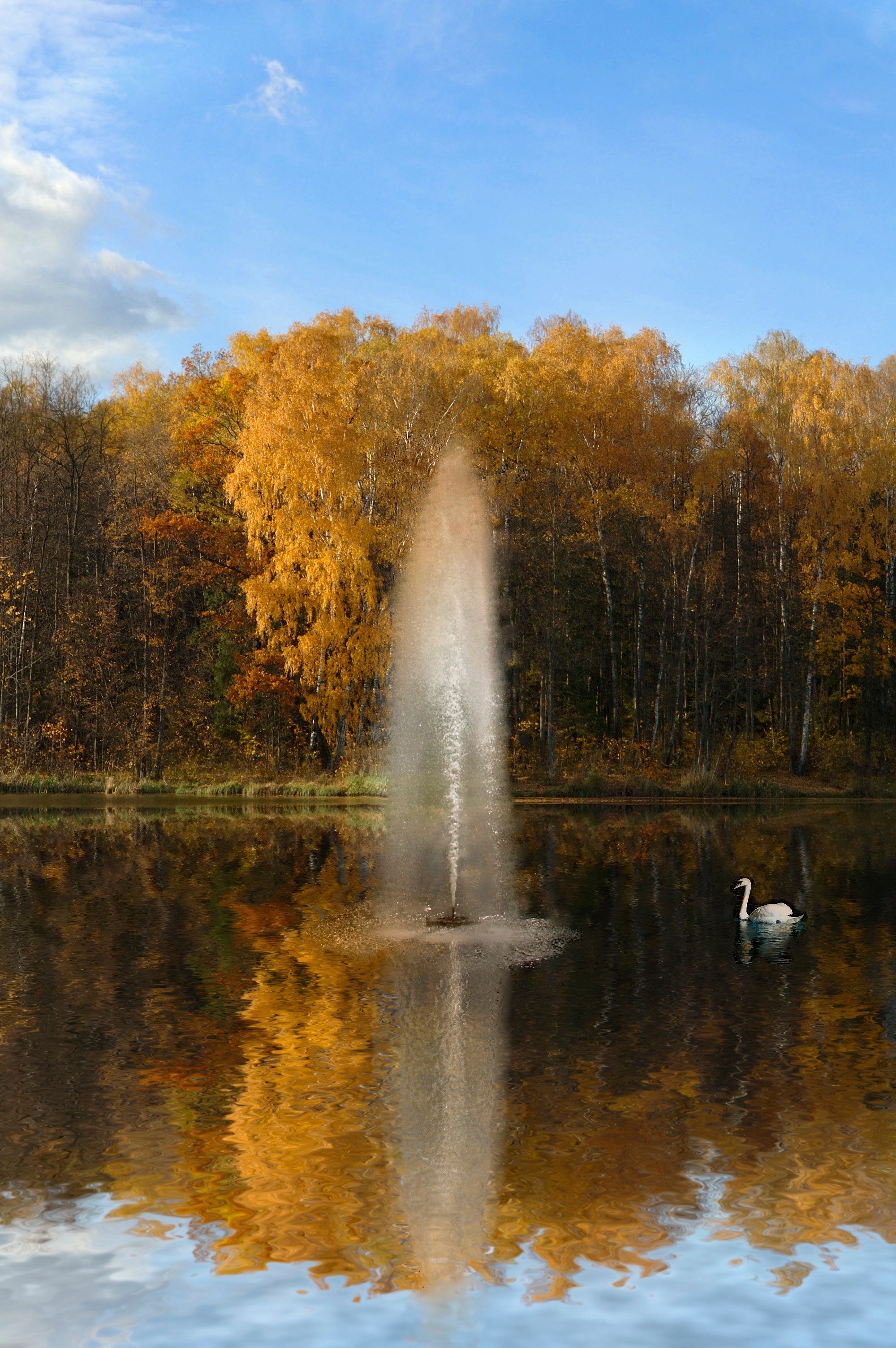 J Series Fountain, 3/4HP, 120V, 1PH, Float, C-25 Control Panel, 5 Nozzles, 50-100ft Power Cord
