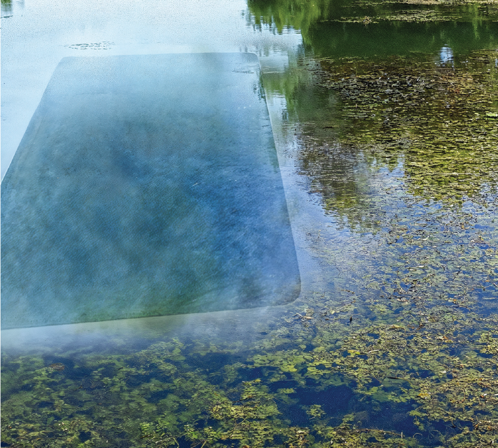 Water Clarity