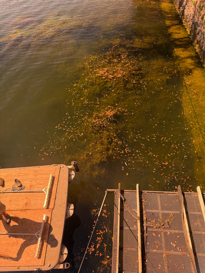 Hydrilla Killa - Create your own hydrilla-free zone