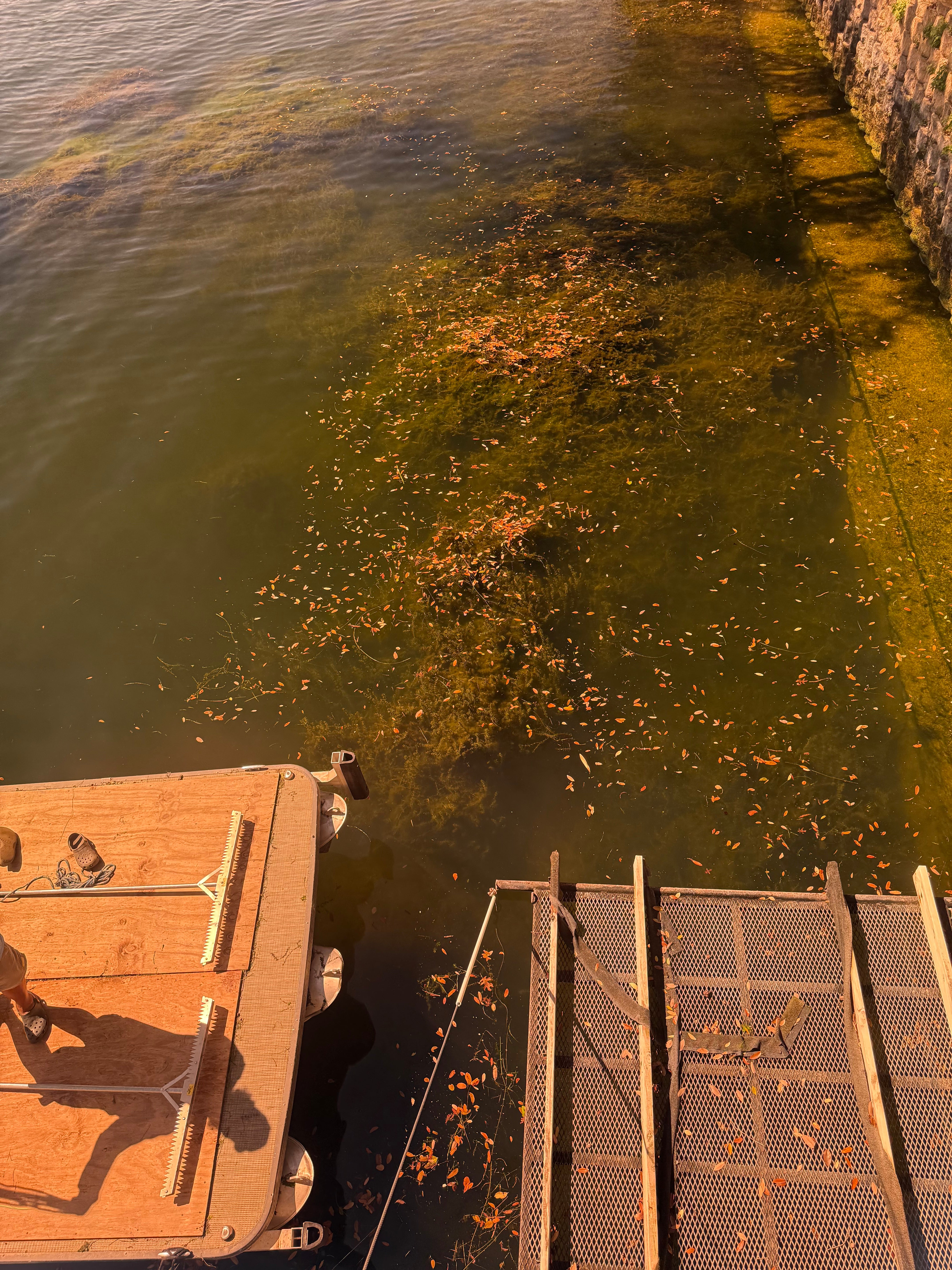 Hydrilla Killa Mat